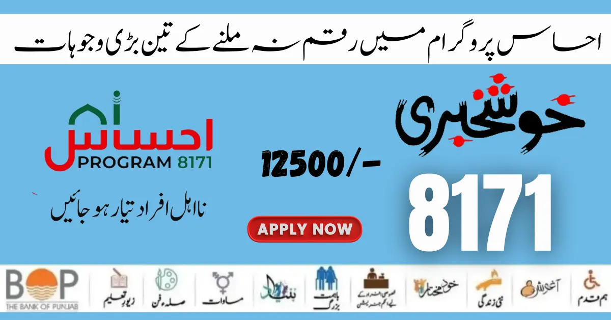 Ehsaas Program 8171 New Online Registration Method Start (New Payment 12500/-)