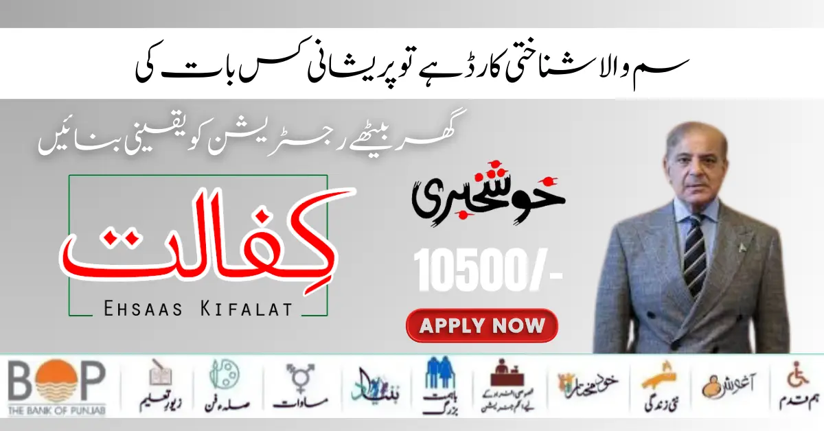 Benazir Kafaalat Program CNIC Check Step-by-Step Guide (Latest Update 2024) 