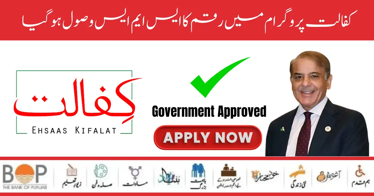 Benazir Kafaalat 12500/- Online Check Registration By 8171 Web Portal Form  