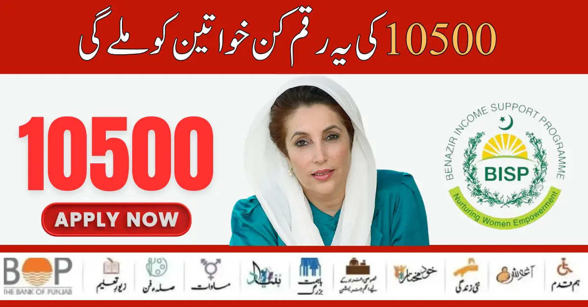 Big News! Benazir Income Support Program Wazaif Details 2024 Check Eligibility By 8171