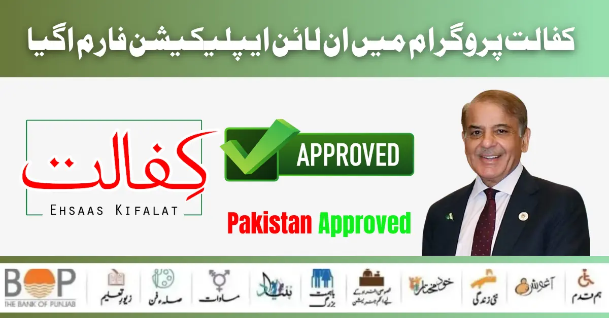 Benazir Kafaalat 8171 New Method Online Application Process Start 2024