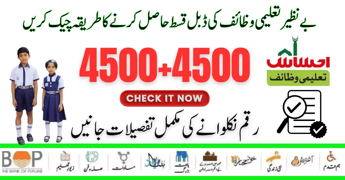 New Method To Check Benazir Taleemi Wazifa 4500+4500 Double Installment 2024