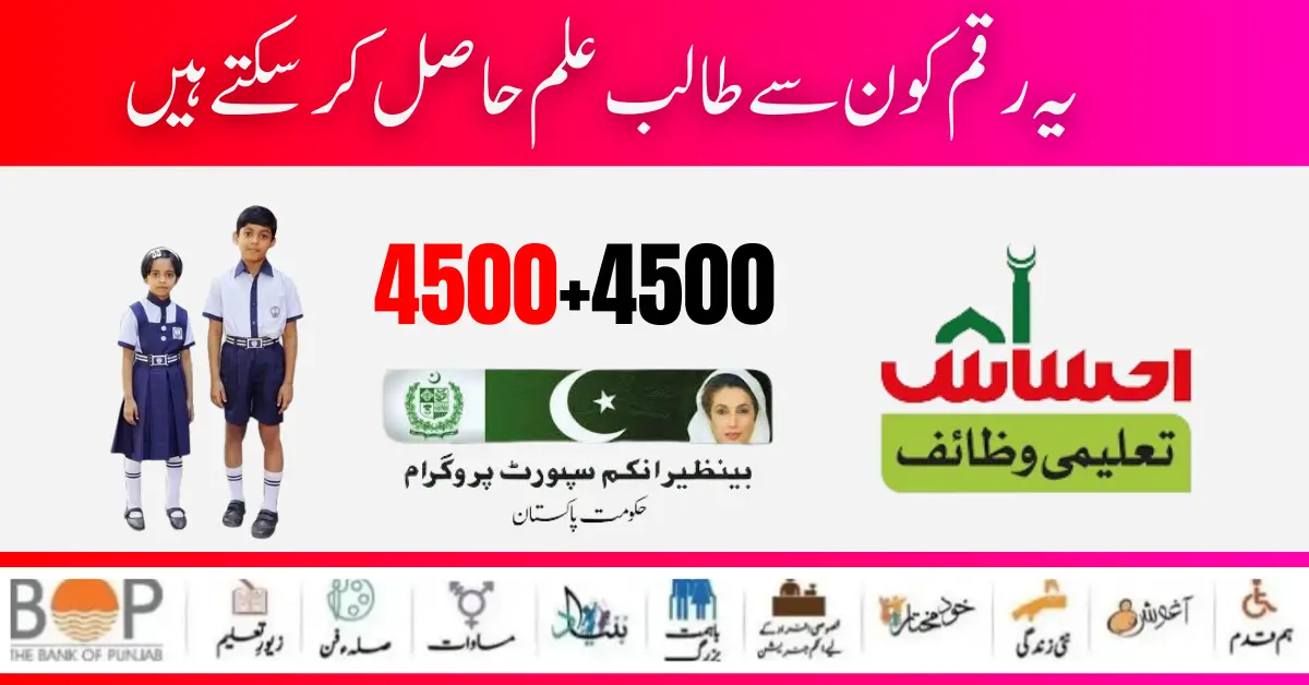 Benazir Taleemi Wazaif 8171 New Payment 4500 +4500 Procedure Start 2024