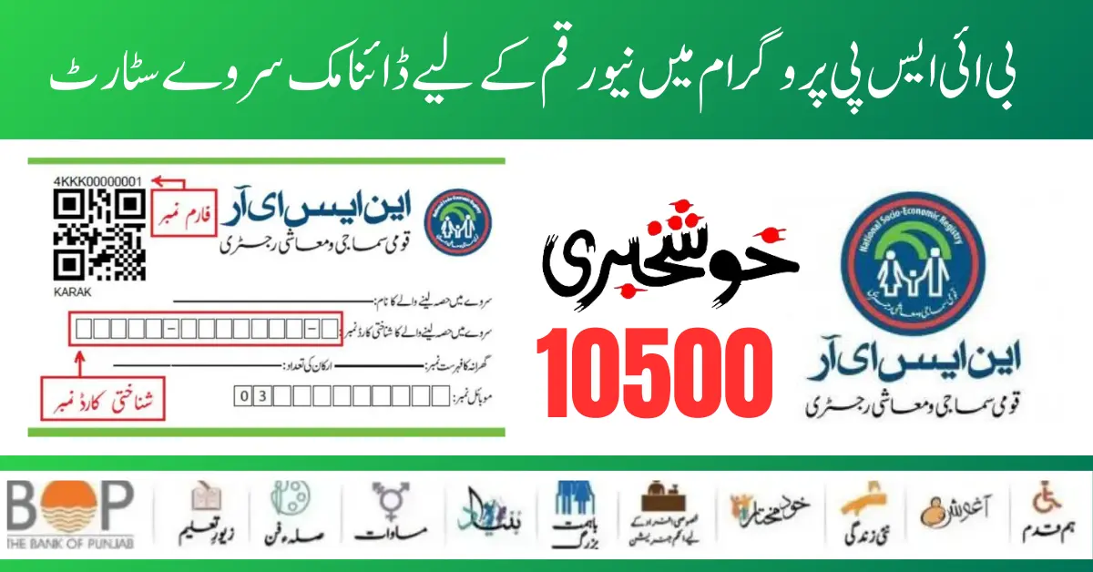 BISP 10500 New Payment Dynamic Survey Start For Ineligible Families 