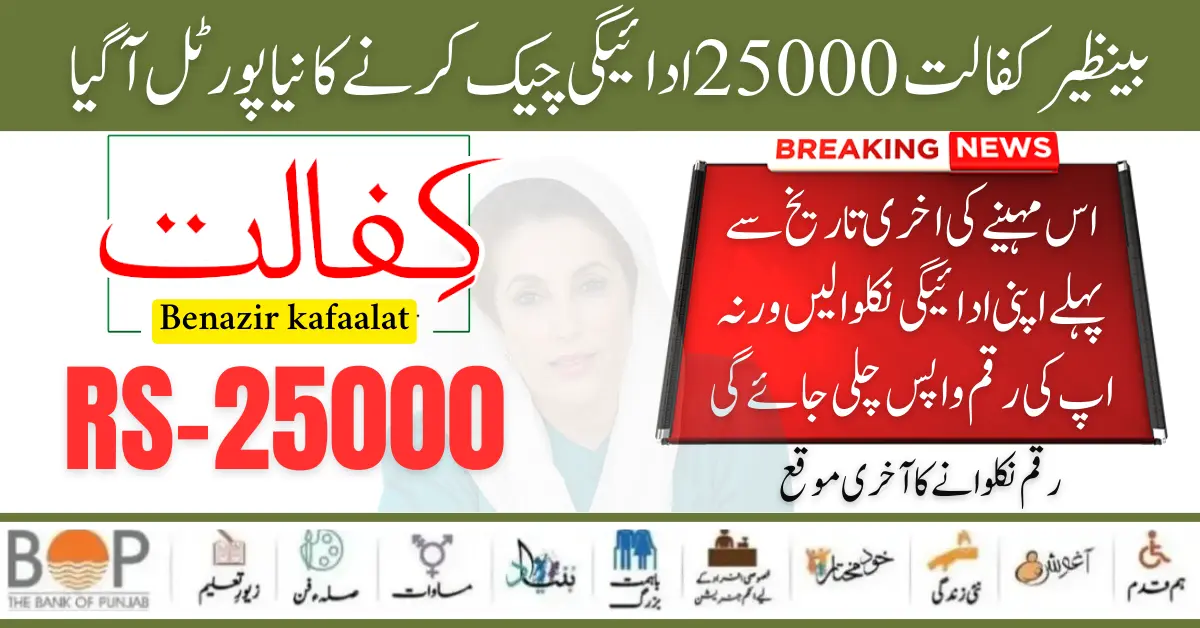 Benazir Kafaalat 25000 Payment Check By CNIC Through 8171 Portal Update