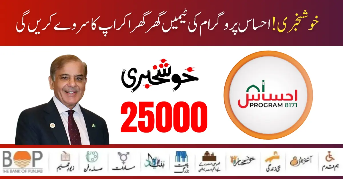 Ehsaas Program 25000 New Payment Door To Door Survey Start For Ineligible Families 2024