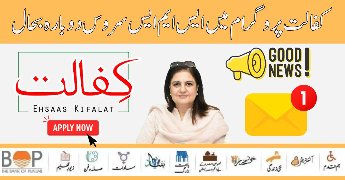 Benazir Kafaalat Program Check 10500 Payment By 8171 SMS Code