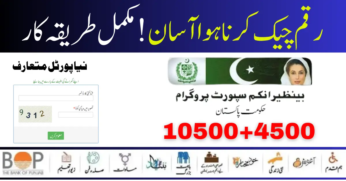 New Web Portal Form 8171 BISP