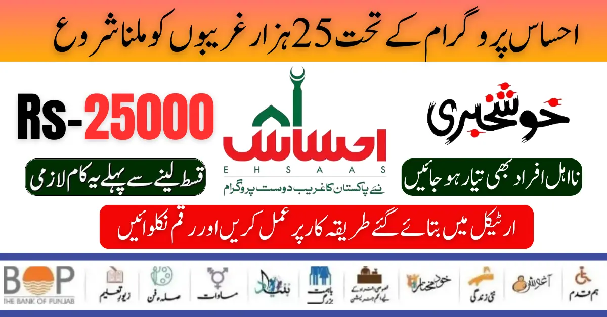 Ehsaas Programme 25000 Payment Release Latest Update 2024