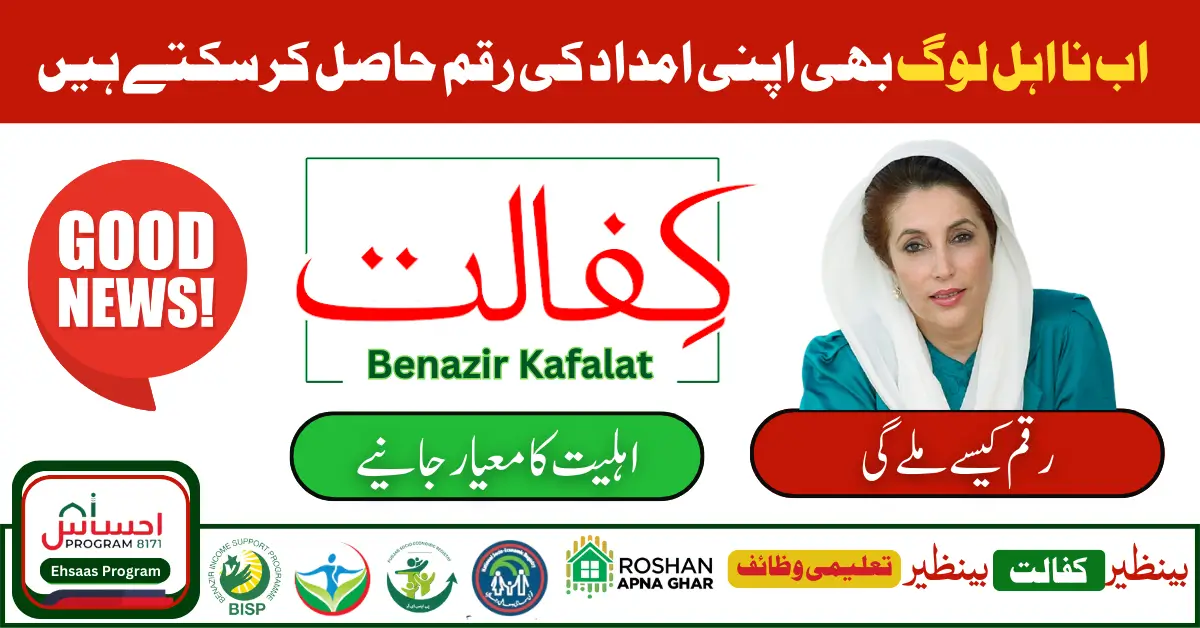 How to Check Benazir Kafaalat Survey Status Online via the 8171 Portal