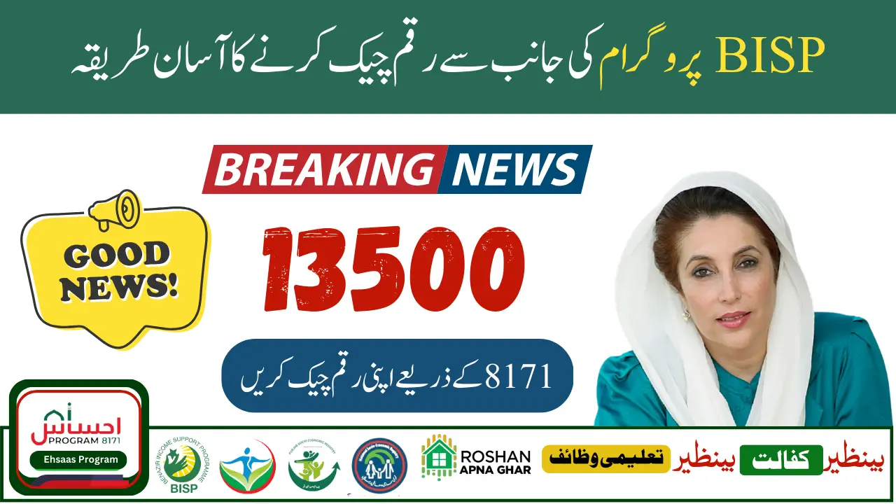 BISP 8171 Payment Verification Process